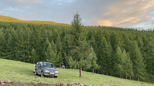 Click image for larger version

Name:	Lots of trees.jpg
Views:	408
Size:	1.40 MB
ID:	1325