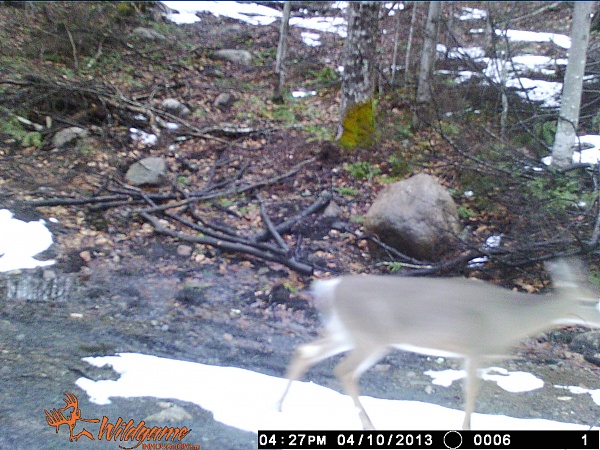 Click image for larger version

Name:	WGI_0006.jpg
Views:	684
Size:	99.5 KB
ID:	332