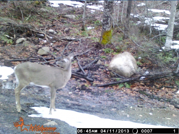 Click image for larger version

Name:	WGI_0007.jpg
Views:	699
Size:	98.7 KB
ID:	333