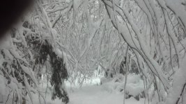 6338_10200108627700702_2037551336_n[1].jpg