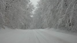 64552_10200108623900607_1994203161_n[1].jpg