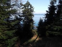 DSCF1035.jpg