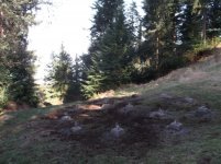 DSCF1038.jpg