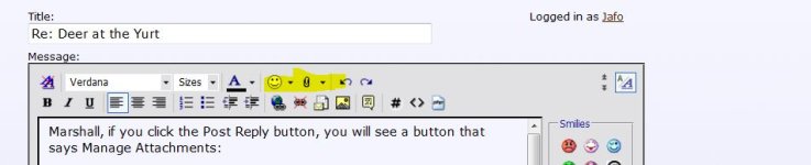 Capture3.JPG
