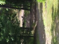 IMG_0118.jpg