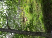 IMG_0133.jpg