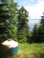 IMG_6574.jpg