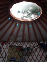 DSCF1146.jpg