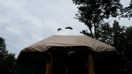 20140823_170755.jpg