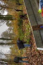 IMG_9950.jpg