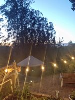 yurt at sunset.jpg