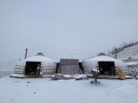 the morning after the snowstorm.jpeg
