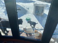 IMG_4652.jpeg IMG_4652.jpeg