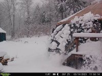 IMG_5105.jpg