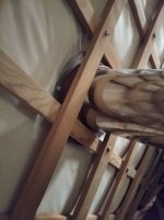 IMG_20231205_174350.jpg