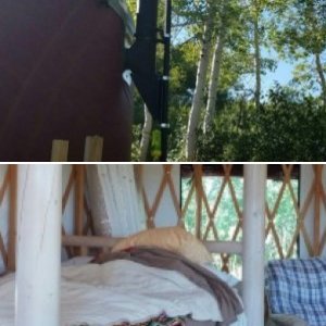 Pics 8/28
