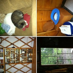 Yurt pictures.