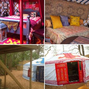 Forest Yurts