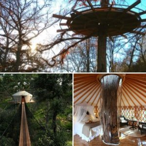 Treehouse yurt