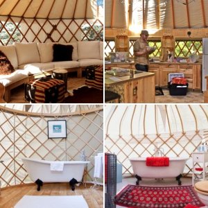 Our Fantasy Retirement Yurt and grounds