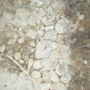 That is the stone I put in the ruts before I covered it all with fill I found in a nearby bank.