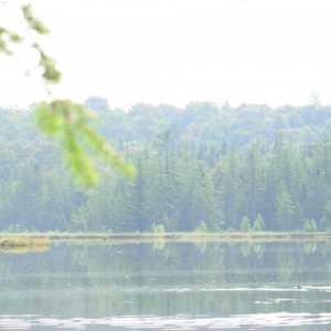 Stone Dam Lake, which is close to my camp.