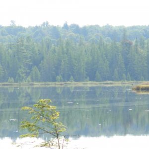 Stone Dam Lake, which is close to my camp.