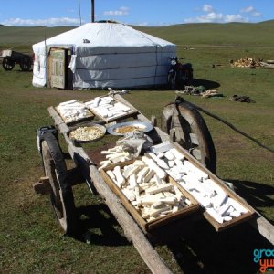 cheese drying in front a a 5-walls ger in Mongolia