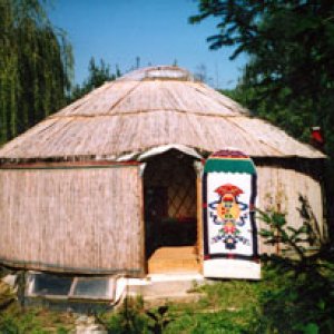 my first yurt south