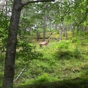 IMG 0133