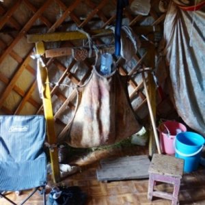 This is a skin they use to store and make "aeric", fermented mare's milk.  Every day they add to it and take from it, but they also spend about 1/2 an