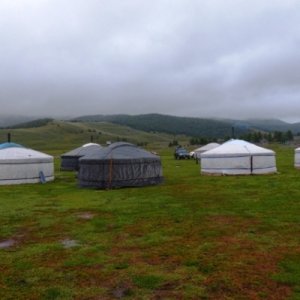 Most of the yurts I saw were actually this grey color.  They look white because they have a polyester cover that is just slipped on to make them "look
