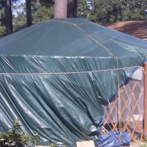 I've covered it with a 30x50ft tarp until I could afford to buy the Solex insulated greenhouse panels to cover it with. My plan is to get my tilapia t