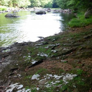 Here is where I swim and cool off.  This is the edge of my lot right on the Black River.  Not another human around for miles! :)