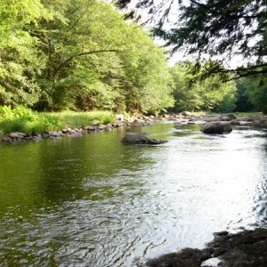 Here is where I swim and cool off.  This is the edge of my lot right on the Black River.  Not another human around for miles! :)