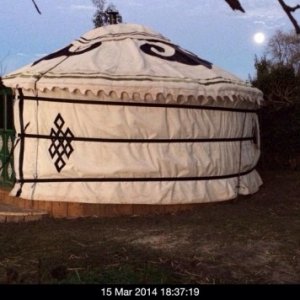 A view of the Yurt at night time in the moonlight (shortly after this photo we had to take the Yurt down again as it was not put up correctly (note th