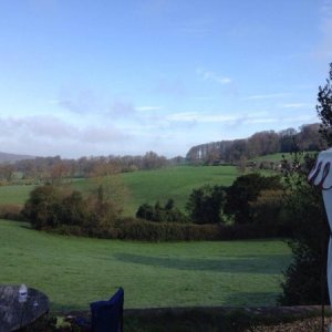 the view from our garden and the yurt