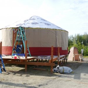 initial rood insulation