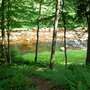 The Black River.