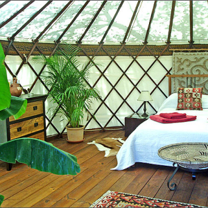 Love this fresh natural looking bedroom