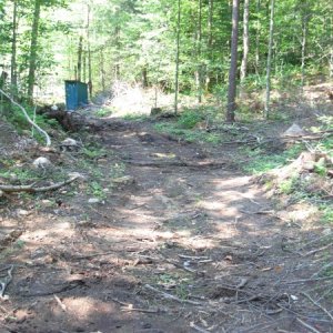 My little road is progressing. :)