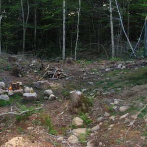 The "backyard"