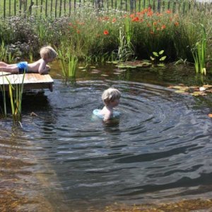 This natural plunge pool is something we will certainly have built.