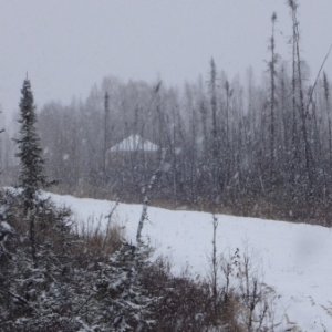 DSC05238
