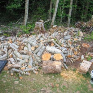 Working on the wood pile!