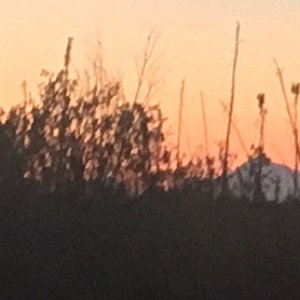 Denali
The tallest mountain in North America. At midnight out our front door.