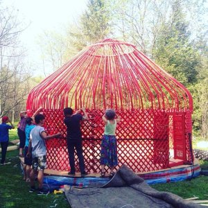 Building a yurt