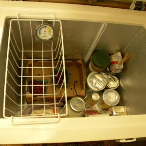 Chest Fridge, inside