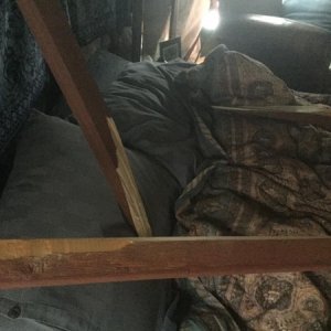 feeling grateful I wasn't asleep in bed...