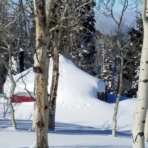 20170116 113742